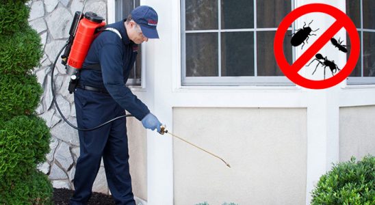 Eceabat Hamam Böceği İlaçlama böcek ilaçlama ve haşere kontrolü — ilaclama-tr.com